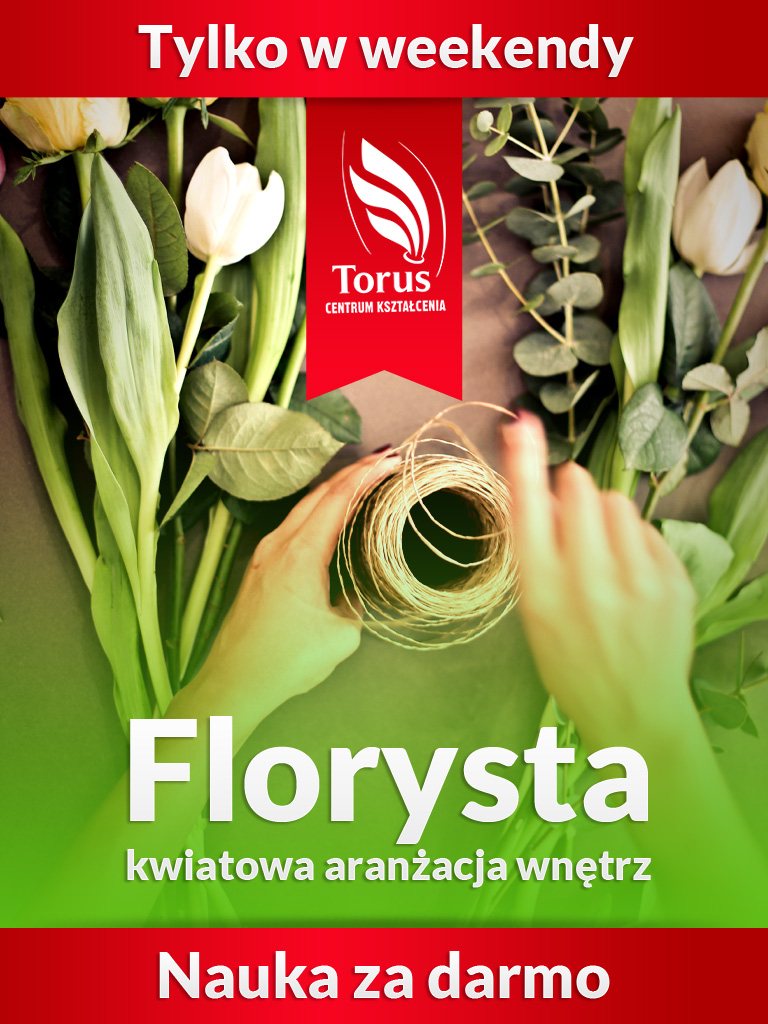 Baner Forysta